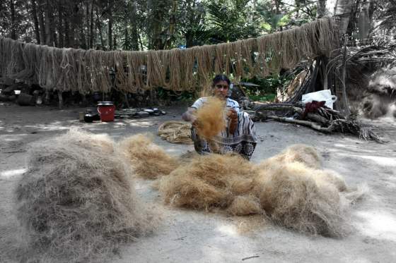 Gathering coir from coconut husk