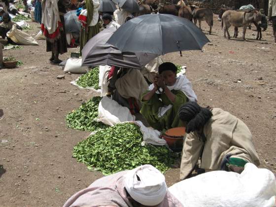 Mint leaves on Market day