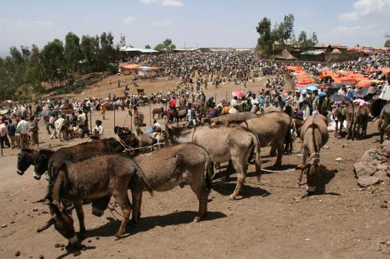 Market day
