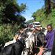Maasai traffic jam