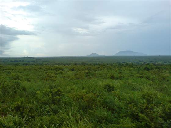 Northern Tanzanian landscape