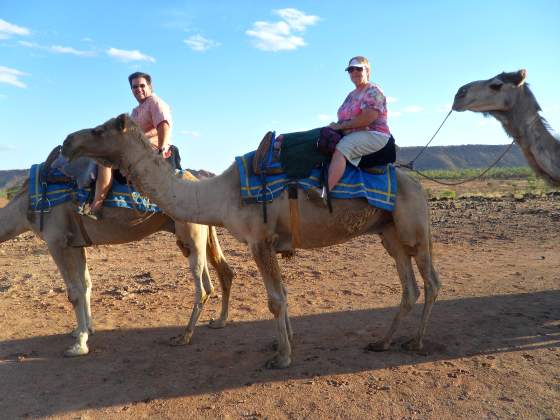 Out back in the Outback via Camel