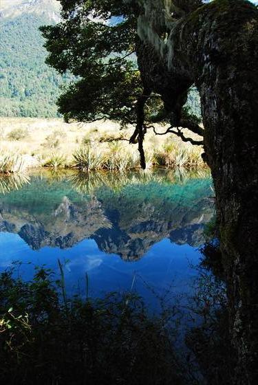 Milford Sound